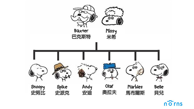 reference